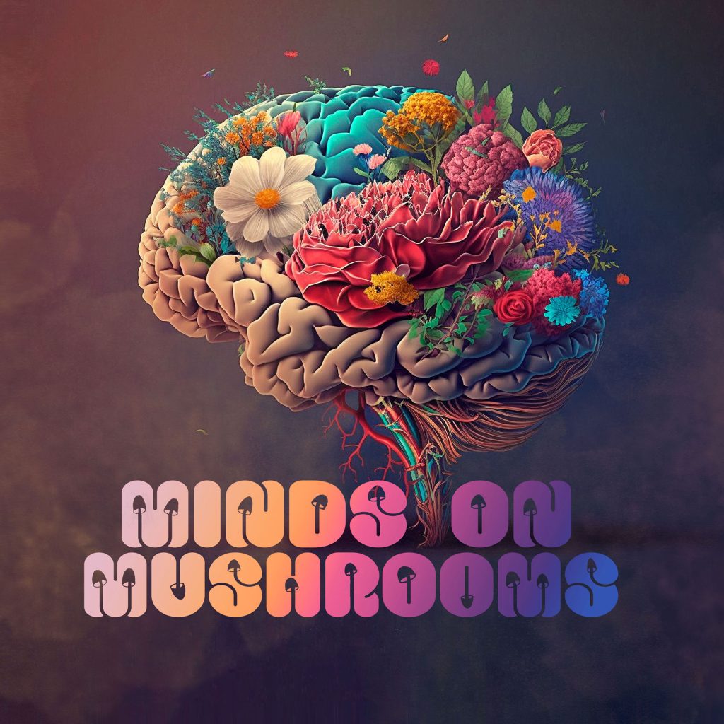 Emotional Intelligence, Healing, and Psychedelics with Sara Mueller